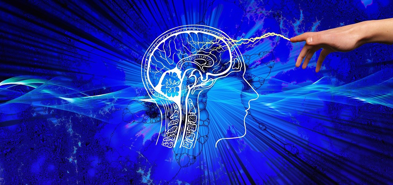 TMS Therapy Explained: What the Magnetic Pulses Actually Do, and What Six Weeks of Appointments Looks Like